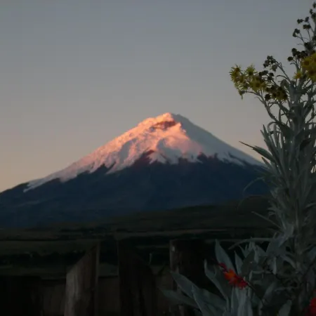 The Secret Garden Cotopaxi-2